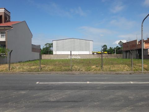 Foto Terreno