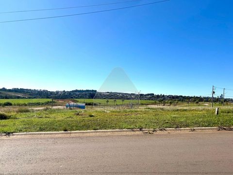 Foto Terreno