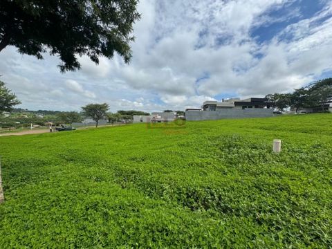 Foto Terreno
