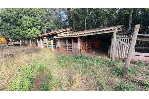 Foto Fazenda / Sítio / Chácara