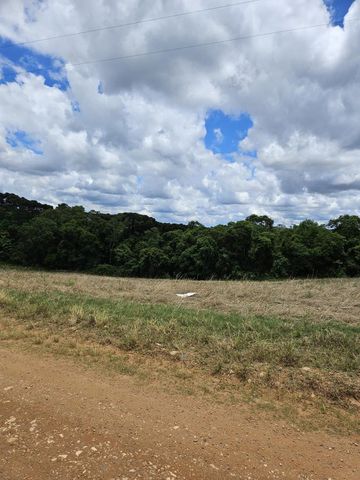 Foto Fazenda / Sítio / Chácara