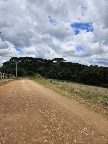 Foto Fazenda / Sítio / Chácara