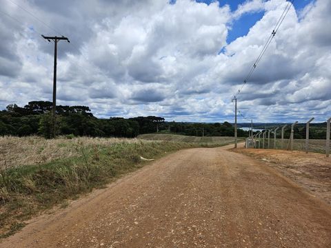 Foto Fazenda / Sítio / Chácara