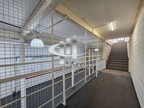 Foto Galpão / Depósito / Armazém / Pavilhão