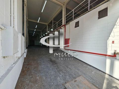 Foto Galpão / Depósito / Armazém / Pavilhão