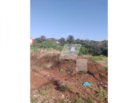 Foto Terreno
