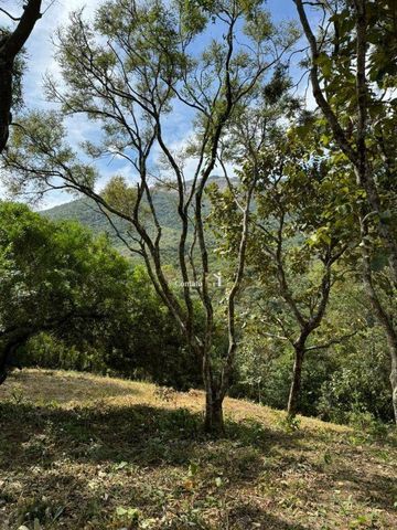 Foto Terreno