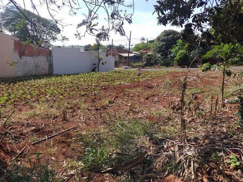 Foto Terreno