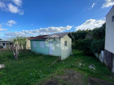 Foto Terreno