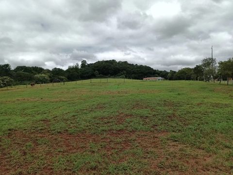 Foto Terreno