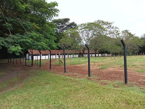 Foto Terreno