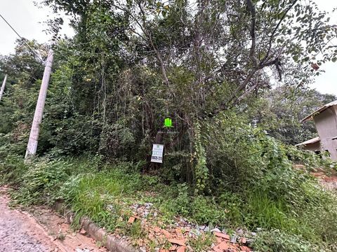 Foto Terreno