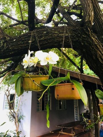 Foto Fazenda / Sítio / Chácara