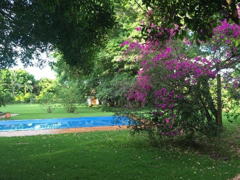 Foto Fazenda / Sítio / Chácara