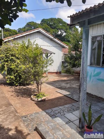 Foto Terreno