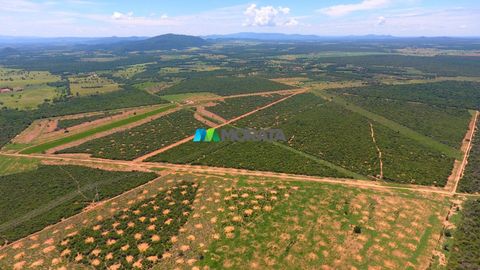 Foto Fazenda / Sítio / Chácara