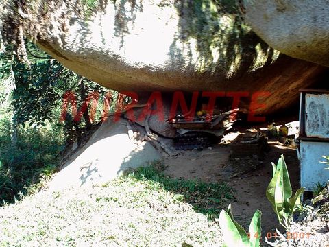 Foto Fazenda / Sítio / Chácara