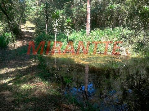Foto Fazenda / Sítio / Chácara