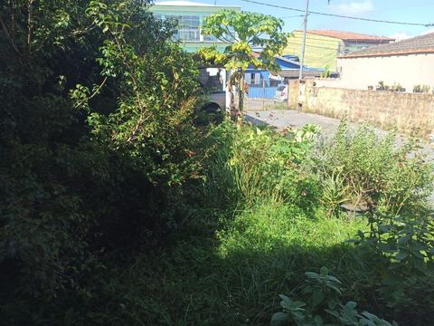 Foto Terreno