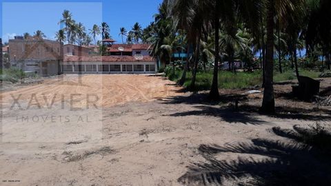 Foto Terreno