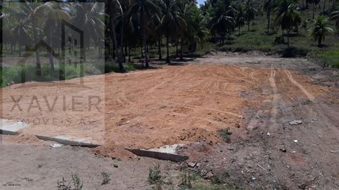 Foto Terreno