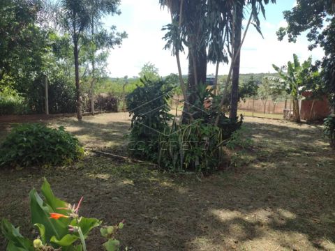 Foto Fazenda / Sítio / Chácara