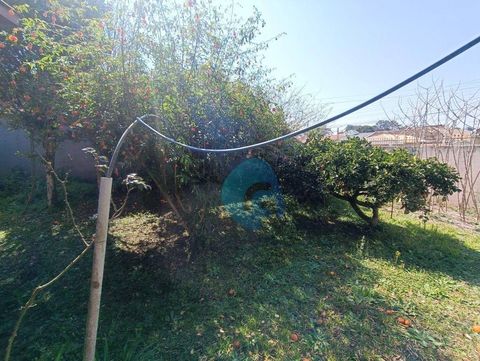 Foto Terreno