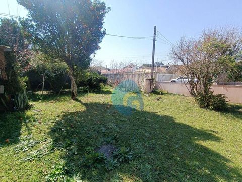 Foto Terreno