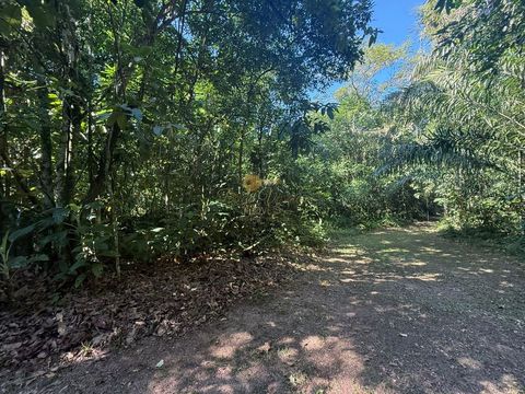 Foto Fazenda / Sítio / Chácara