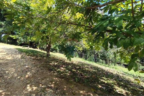 Foto Fazenda / Sítio / Chácara
