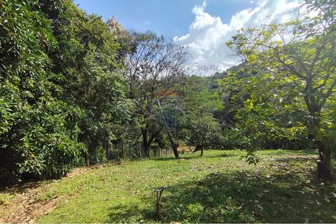 Foto Fazenda / Sítio / Chácara