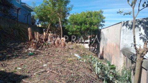 Foto Terreno