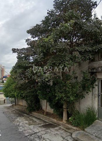 Foto Terreno