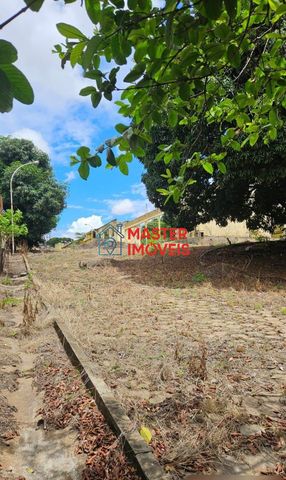 Foto Terreno