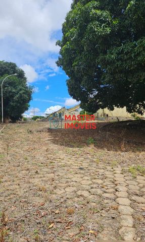 Foto Terreno
