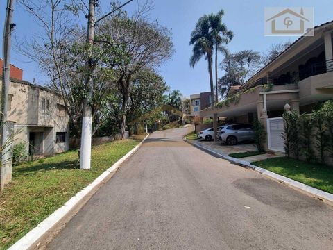 Foto Terreno