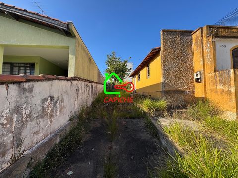 Foto Terreno