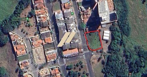 Foto Terreno