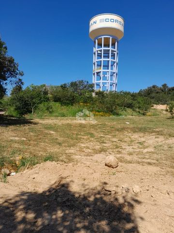 Foto Terreno
