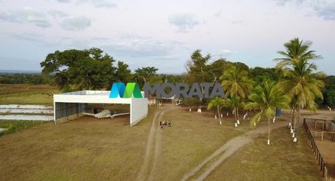 Foto Fazenda / Sítio / Chácara