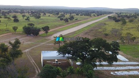 Foto Fazenda / Sítio / Chácara