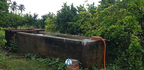Foto Fazenda / Sítio / Chácara