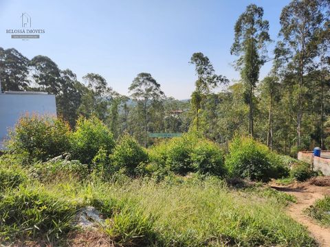 Foto Terreno
