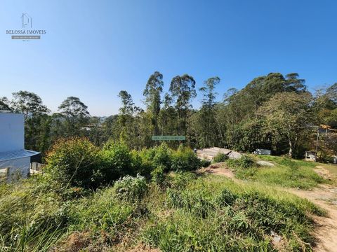 Foto Terreno