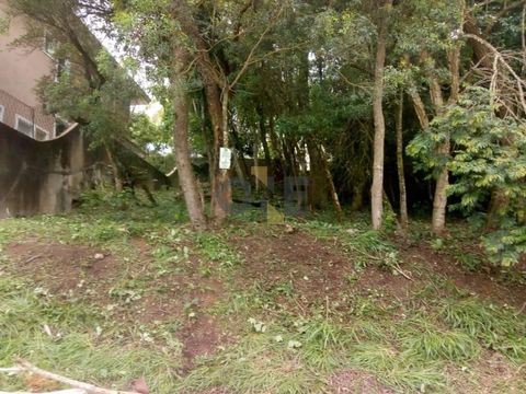 Foto Terreno