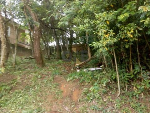 Foto Terreno
