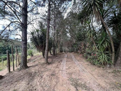Foto Terreno