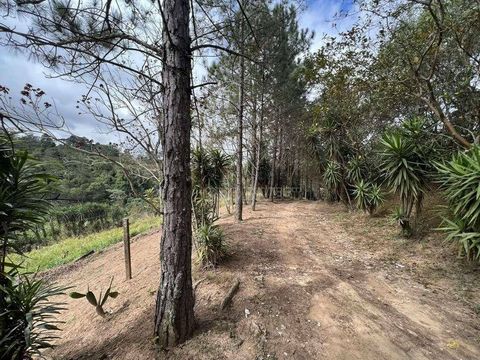 Foto Terreno