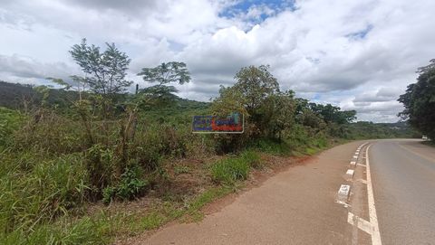 Foto Terreno