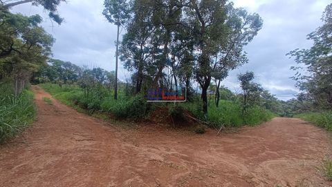 Foto Terreno